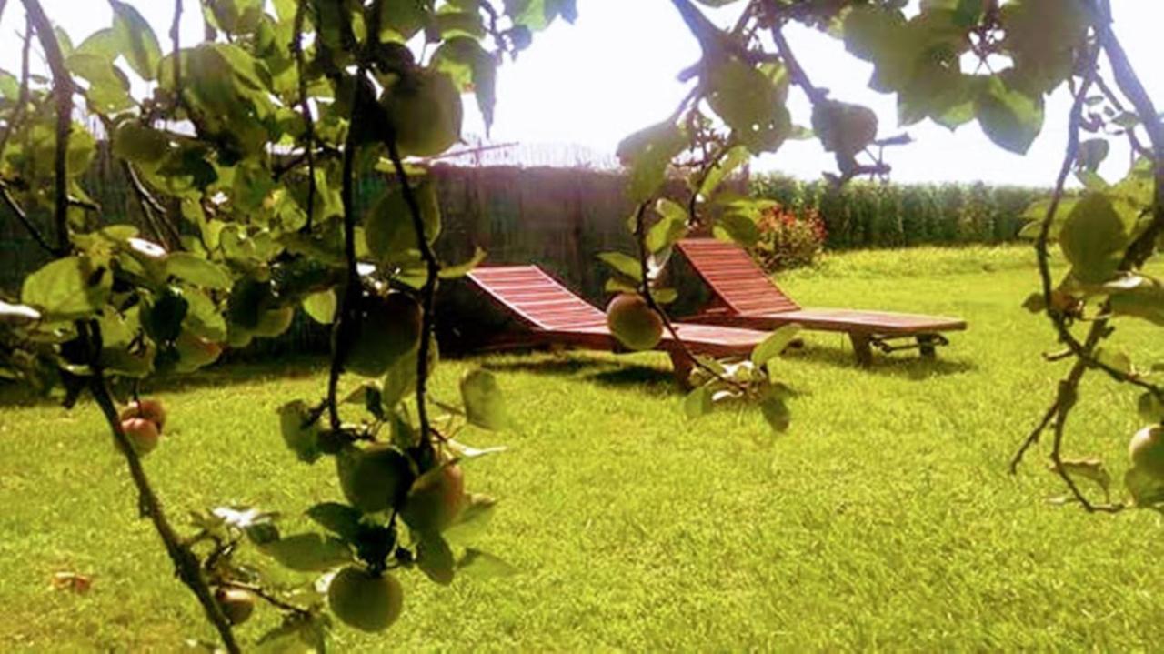 Hotel Rural La Corolla Quintueles エクステリア 写真
